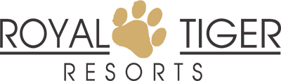 Royal Tiger Tadoba